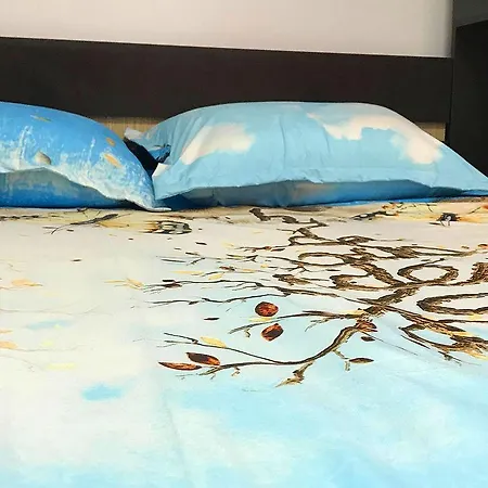 Apartment Victoriei Square Bukarest